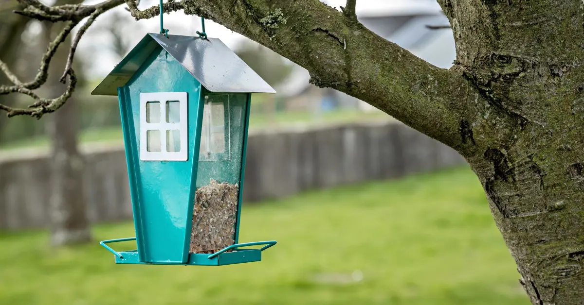 A blue bird feeder half full of seeds hangs from a branch of a tree with grass, trees, and a long fence in the background.