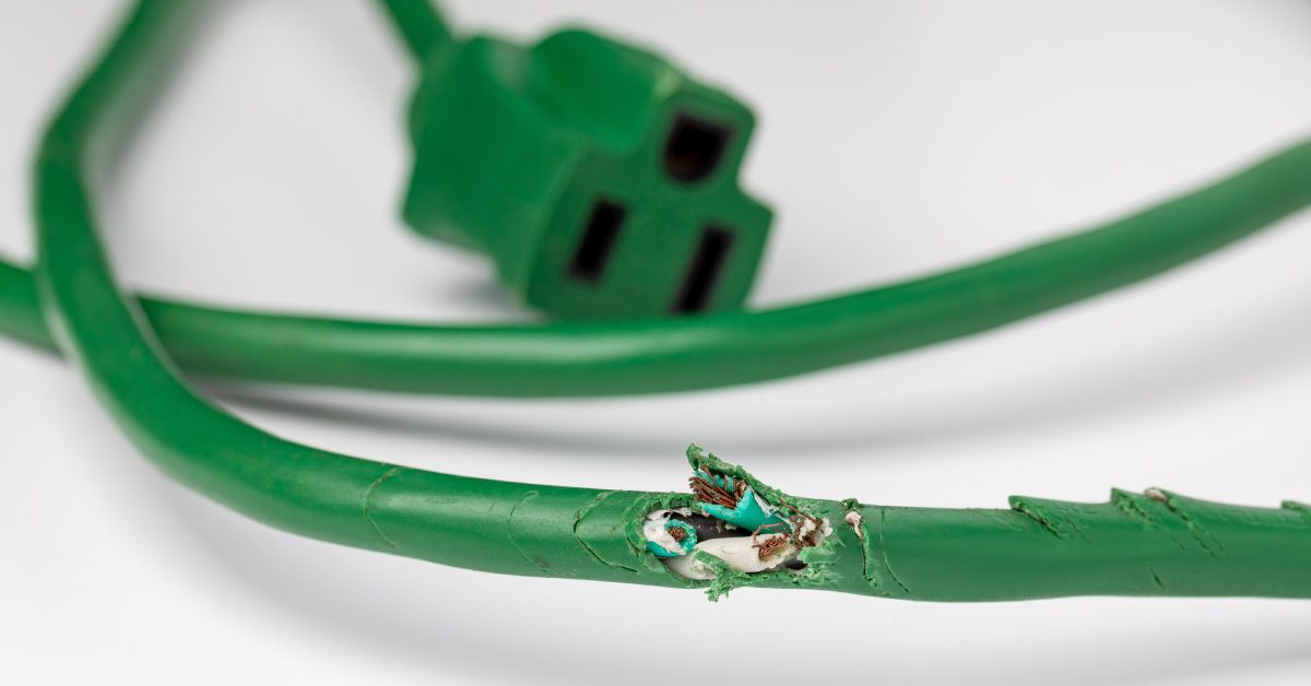 A green extension cord against a white background, showing wiring damage indicative of rodent infestations—mice gnawing.