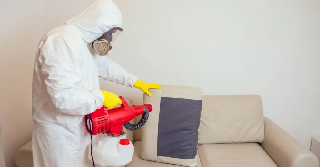 A rodent control professional in white PPE cleaning and sanitizing a couch following a rodent infestation.