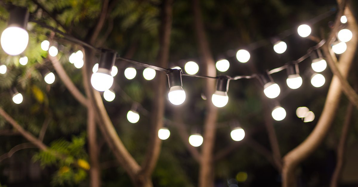 Bright string lights hang in the air in a person's yard. Several trees are in the background with green leaves.