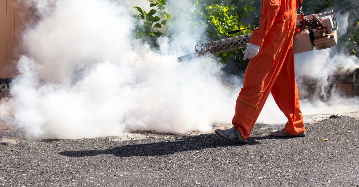 A worker wearing an orange jumpsuit sprays fog to treat pests in the yard area. He stands near plants.