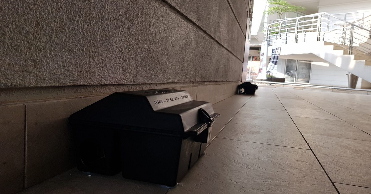 A corridor with several rat traps along the wall. There is a staircase in the background with the sun shining on it.